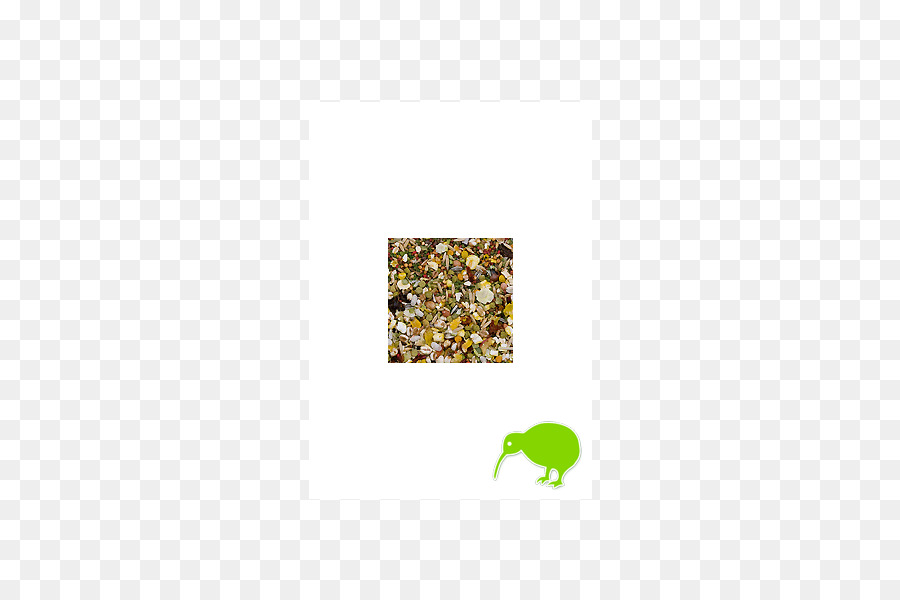 Rectangle，L Herbe PNG