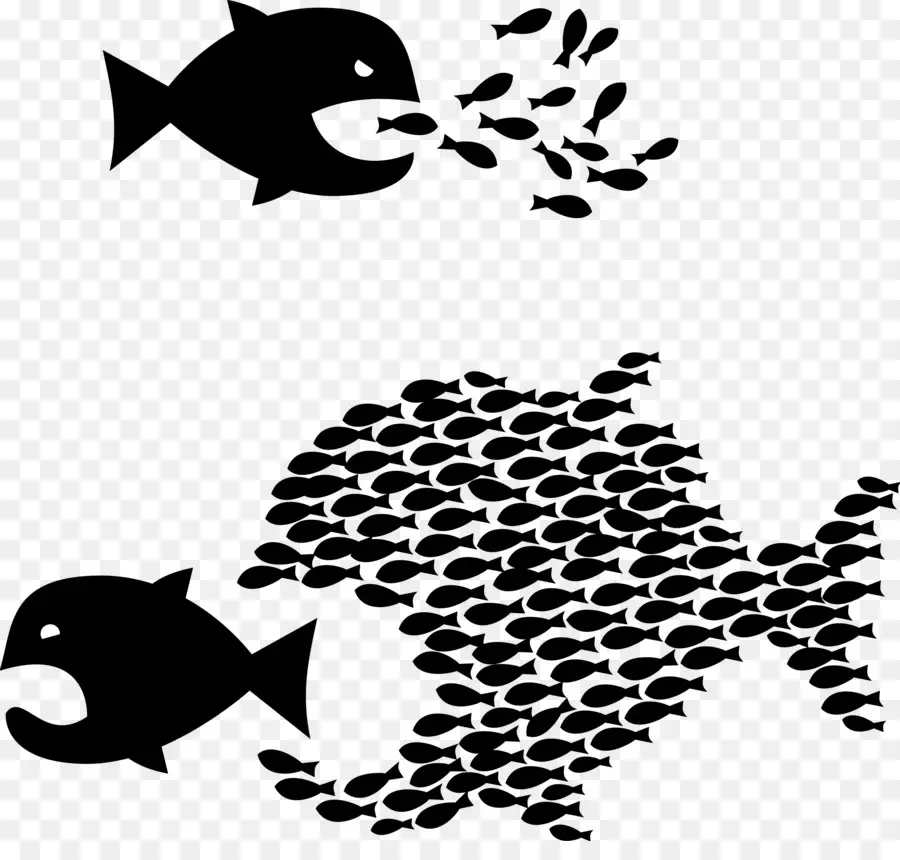 Illustration De Poisson，Gros Poisson PNG