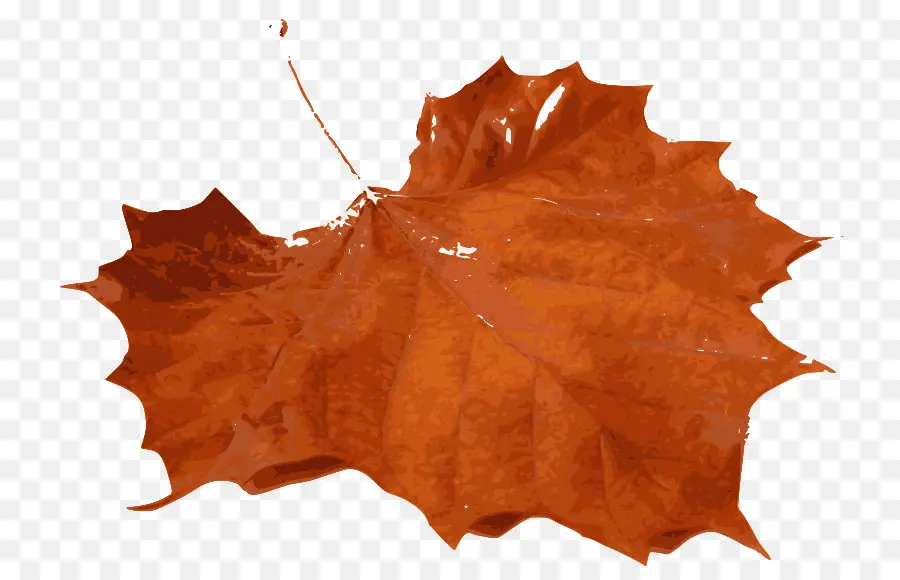 Feuille D'automne，Automne PNG