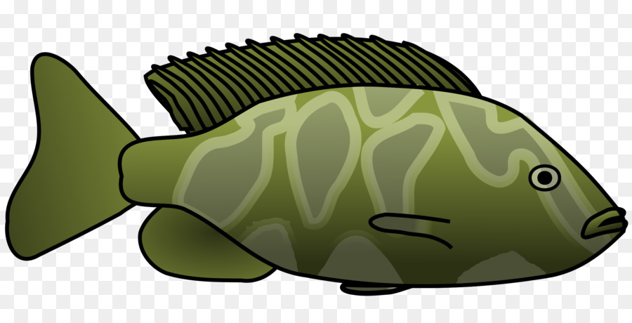 Poisson，Aquatique PNG