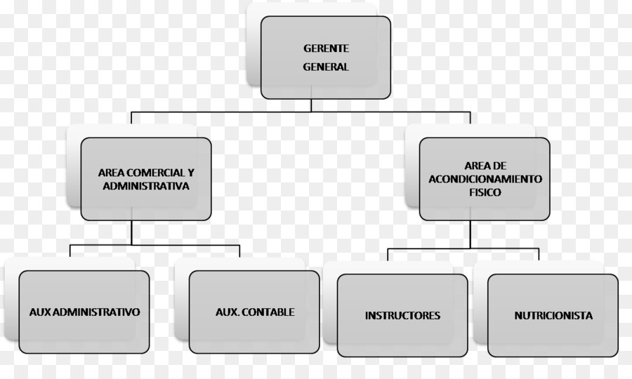 Organigramme，Organisation PNG