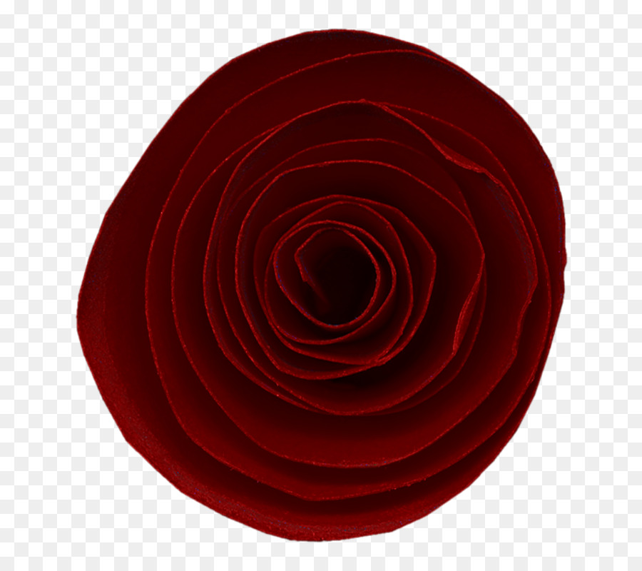 Rose Rouge，Fleurir PNG