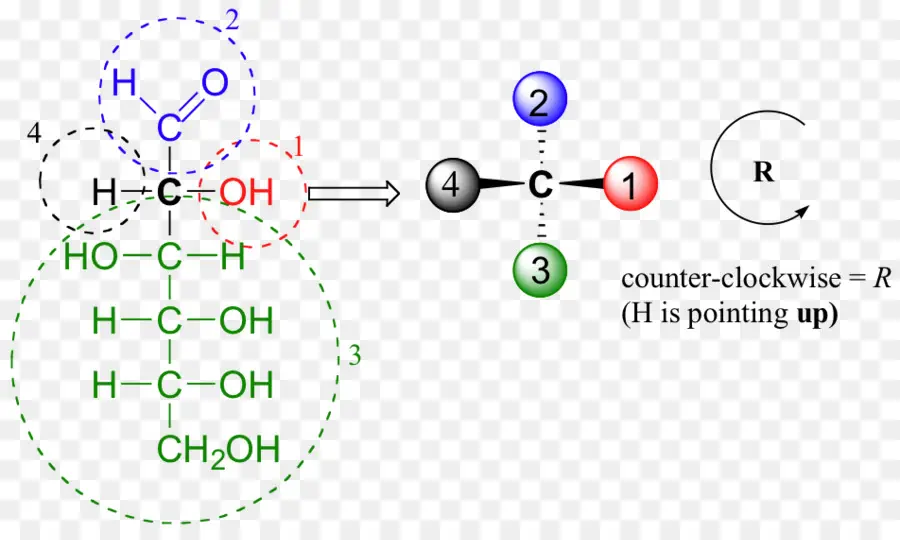 Structure Chimique，Molécule PNG