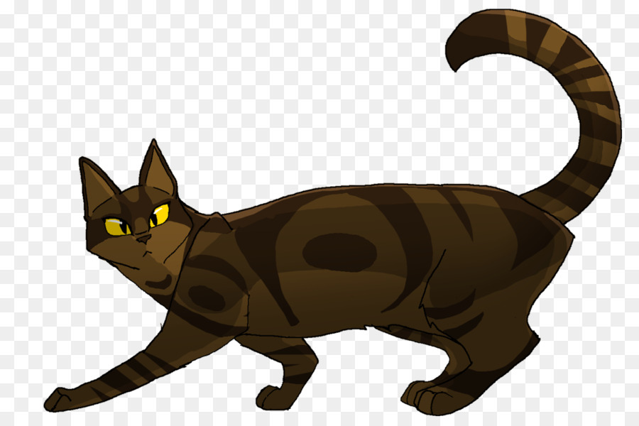 Chat，Animal De Compagnie PNG