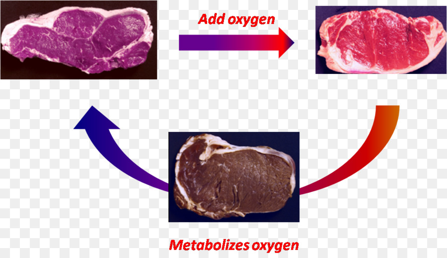 Viande，Bœuf PNG