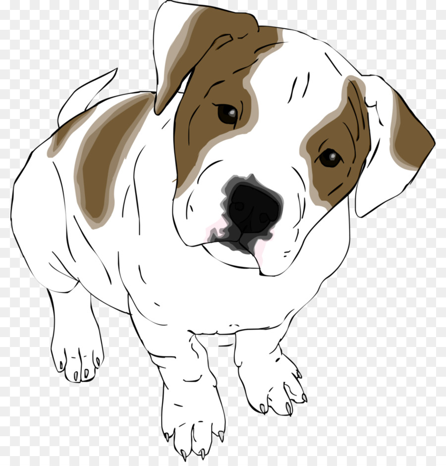 Chien Saint Bernard，Saint Bernard PNG