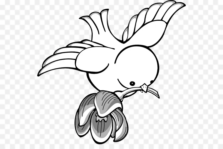 Oiseau，Fleur PNG