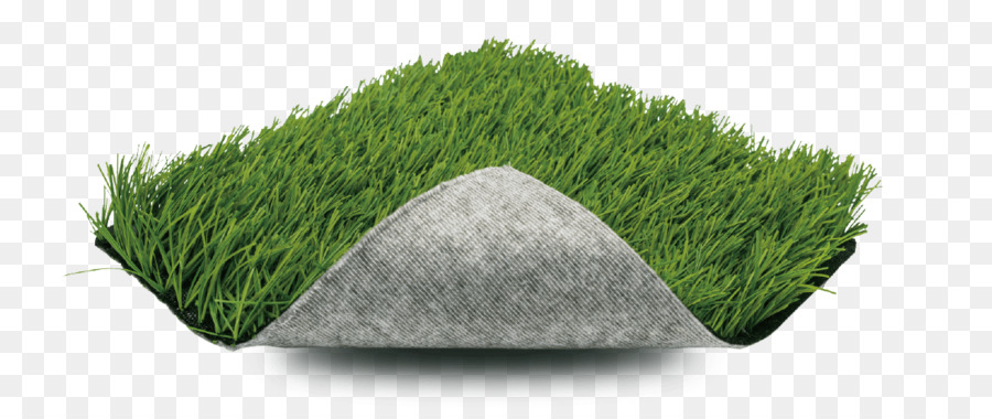 Herbe，Pelouse PNG