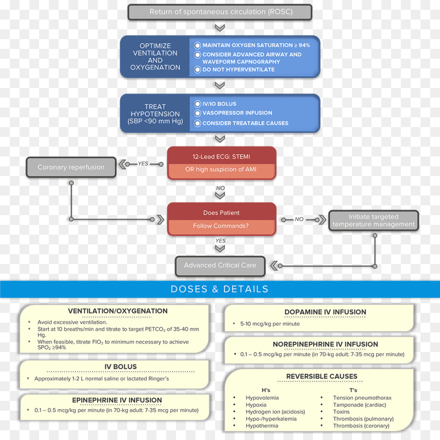 Organigramme，Médical PNG