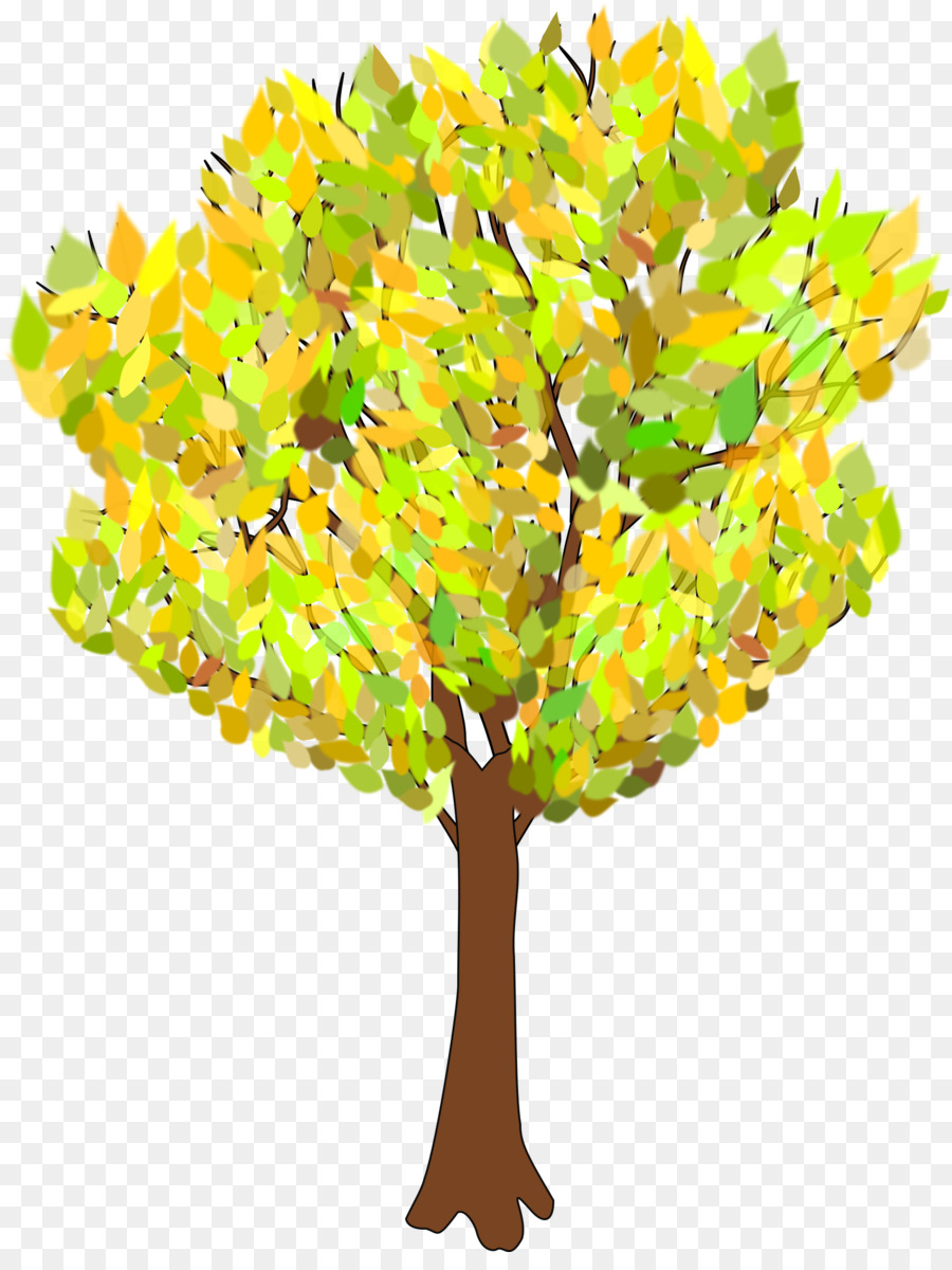 Arbre，Automne PNG