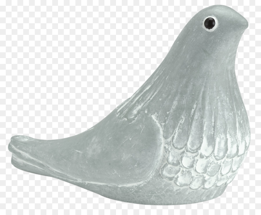 Columbidae，Oiseau PNG