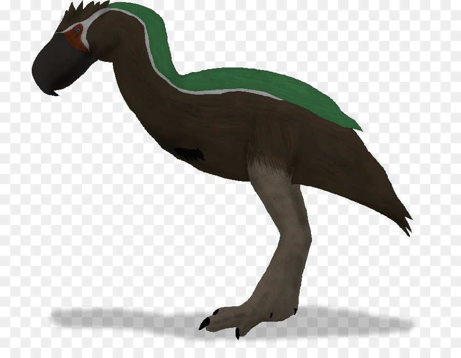 Les Anatidés，Velociraptor PNG