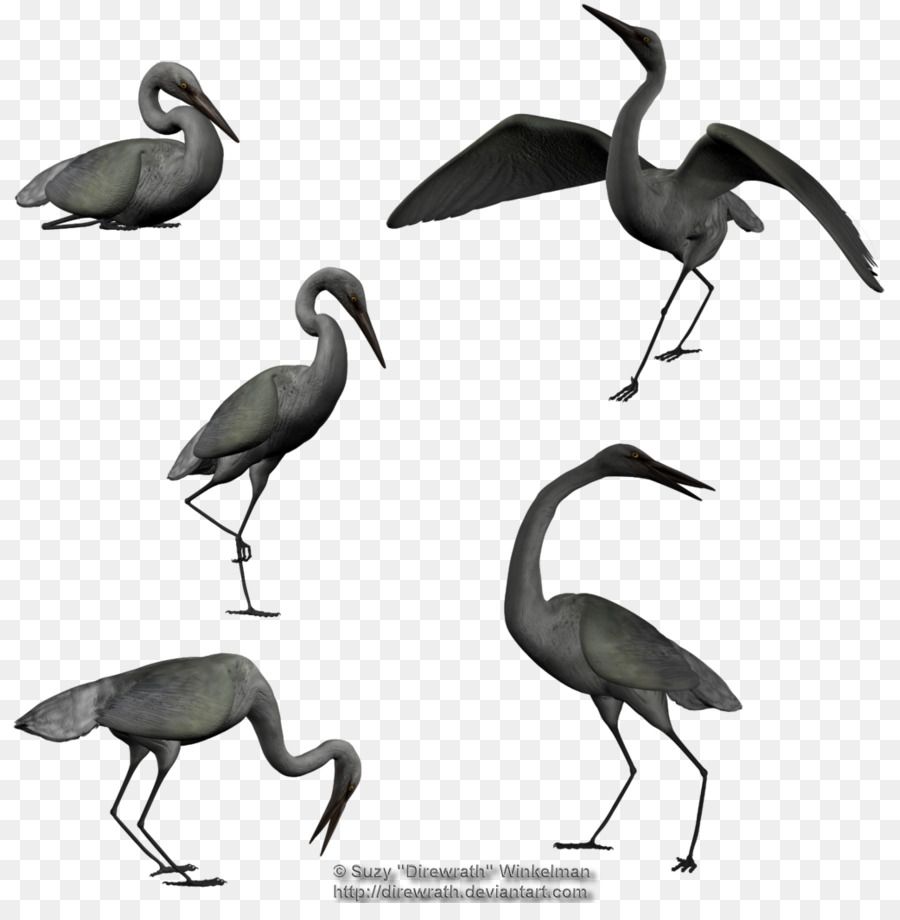 Hérons，Oiseaux PNG