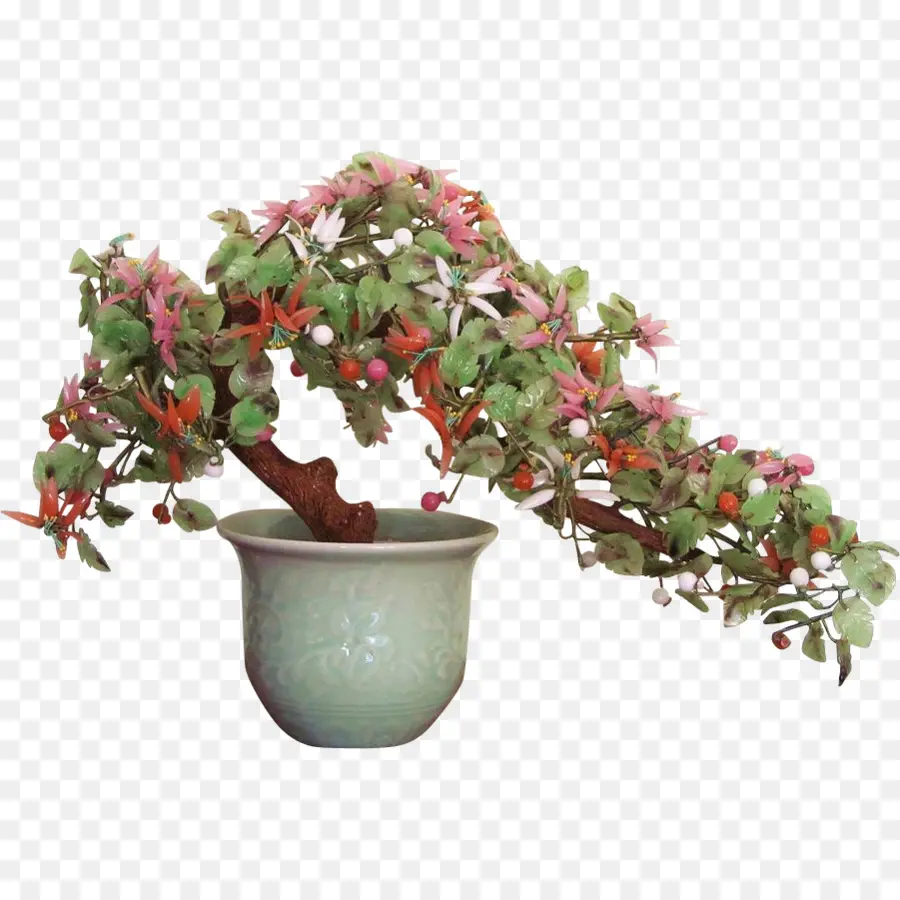 Plante De Jade，Jade PNG