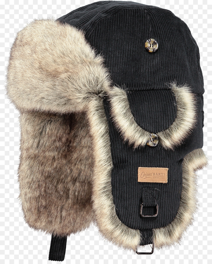 Chapeau D'hiver，Fourrure PNG