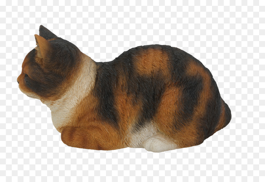 Chat Endormi，Animal De Compagnie PNG