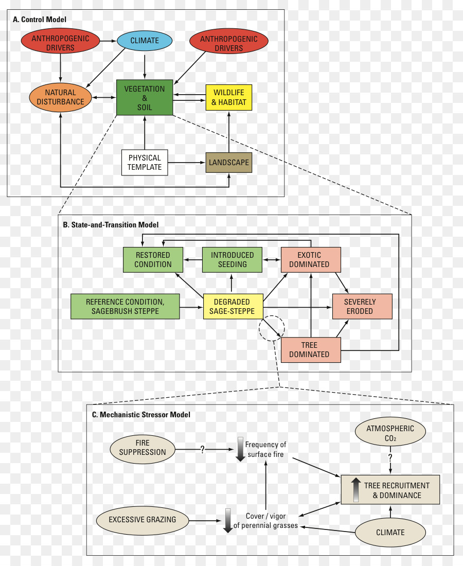 Organigramme，Processus PNG