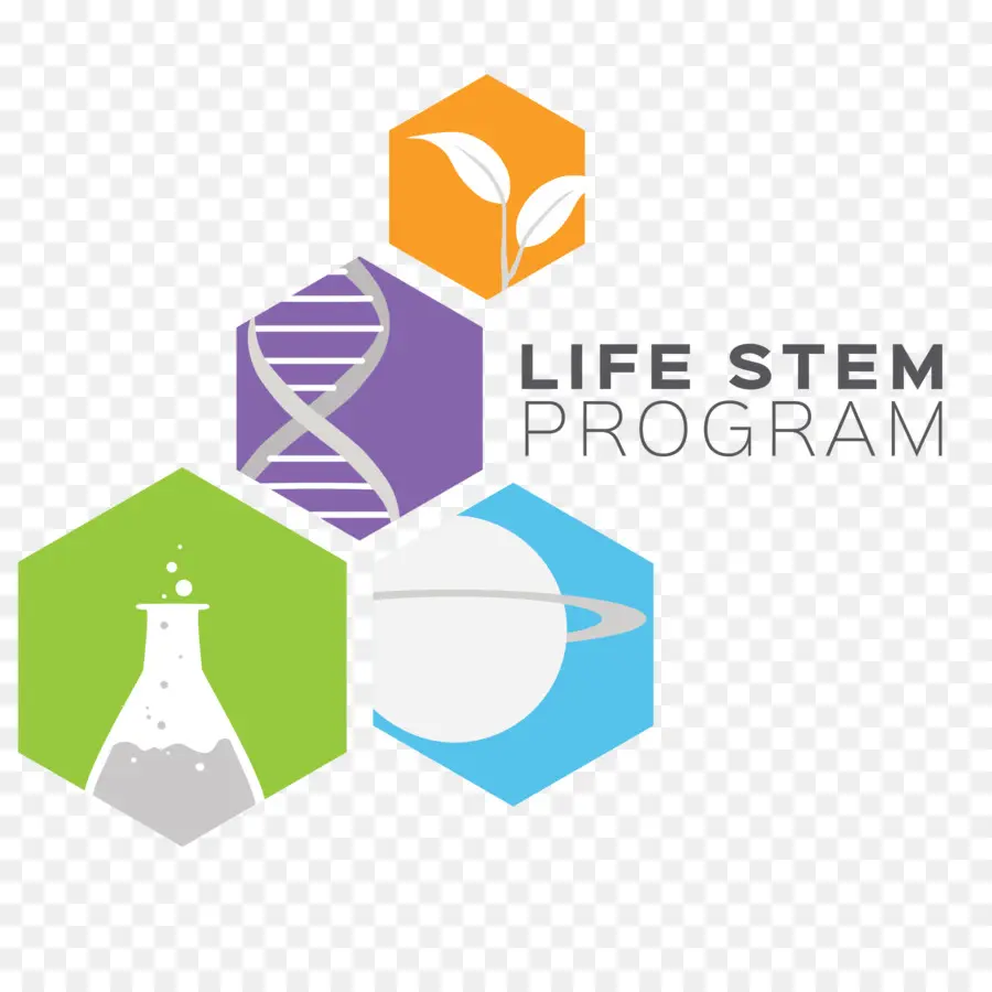 Programme Stem，Science PNG