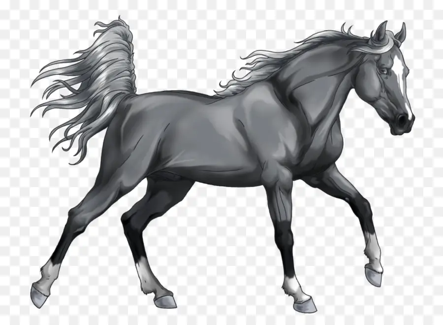 Cheval Brun，En Cours D'exécution PNG