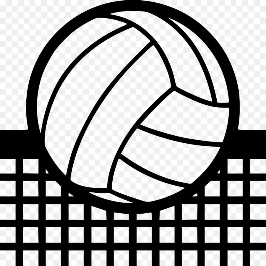 Volley Ball，Balle PNG