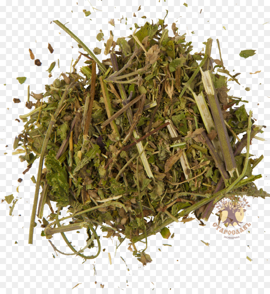 Herbes，Séché PNG