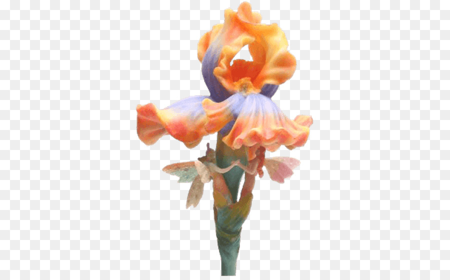 Fée，Fleur De Fées PNG