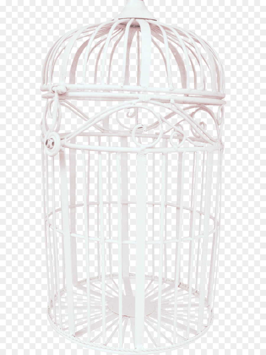 Oiseau，Cage PNG