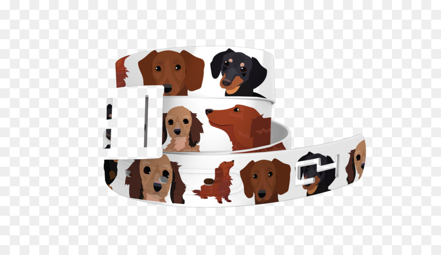 Race De Chien，Teckel PNG