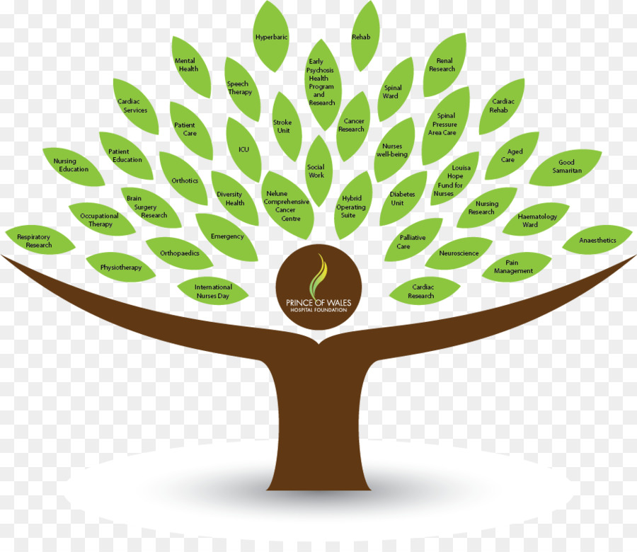 Diagramme En Arbre，Succursales PNG