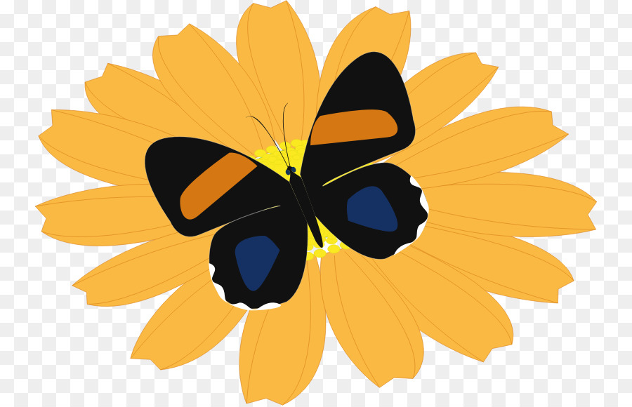 Papillon，Fleur PNG