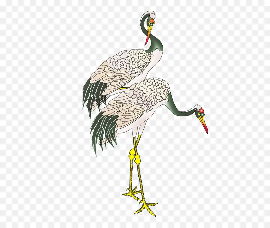 Oiseau Grue，Plumes PNG