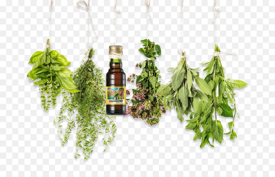 Herbes，Bouteille PNG