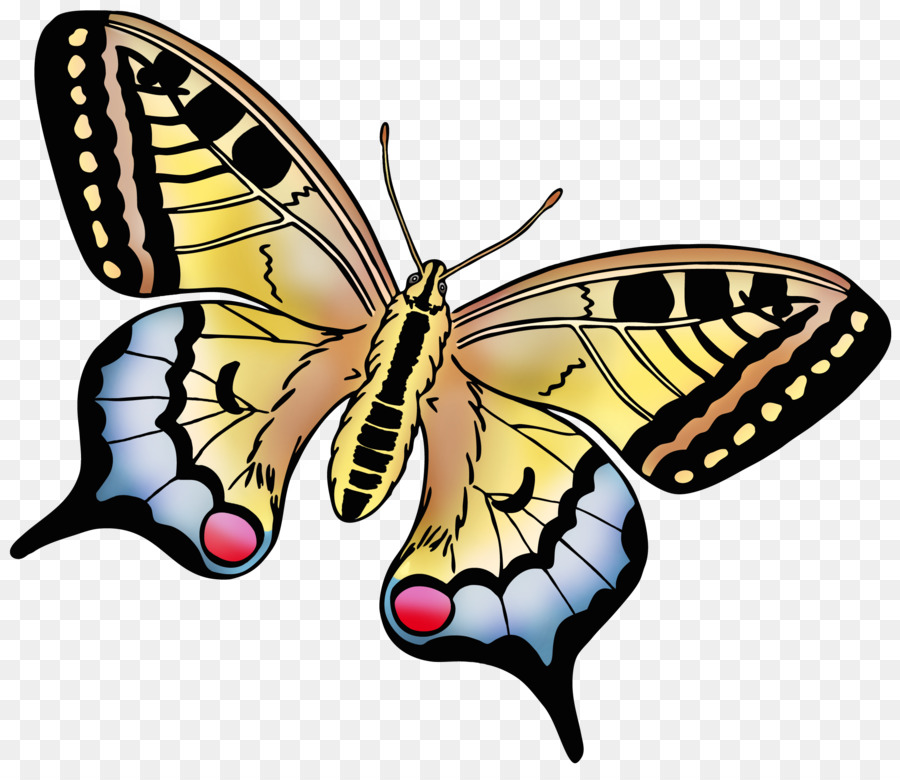Papillon Monarque，Lapin De Pâques PNG