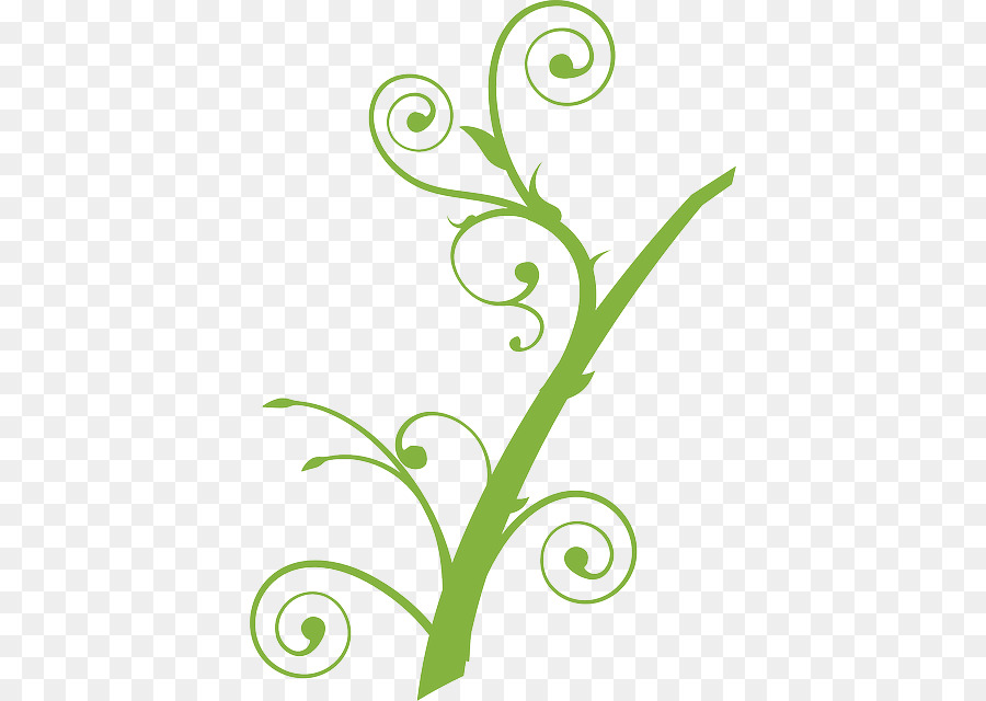 Vigne Verte，Feuilles PNG