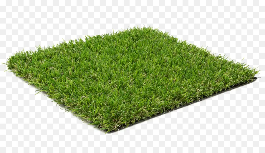 Herbe，Pelouse PNG