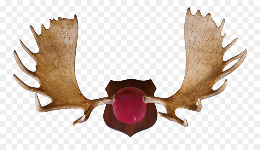 Bois D'orignal，Animal PNG