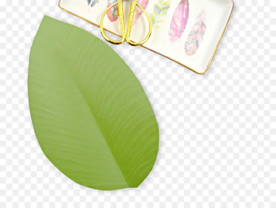 Feuille Verte，Nature PNG