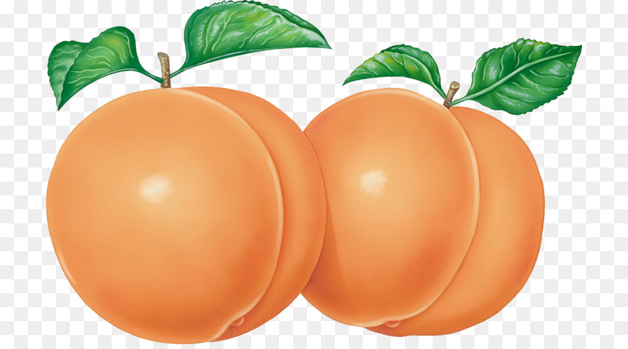 Kaki，Orange PNG