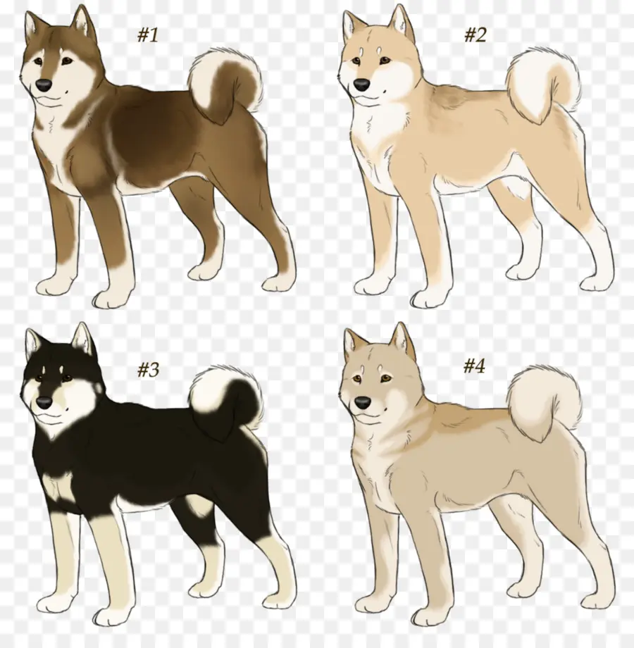 Chiens，Shiba Inu PNG