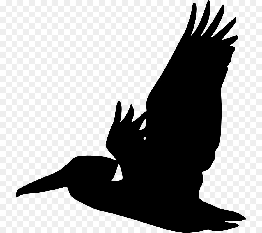 Silhouette De Corbeau，Oiseau PNG