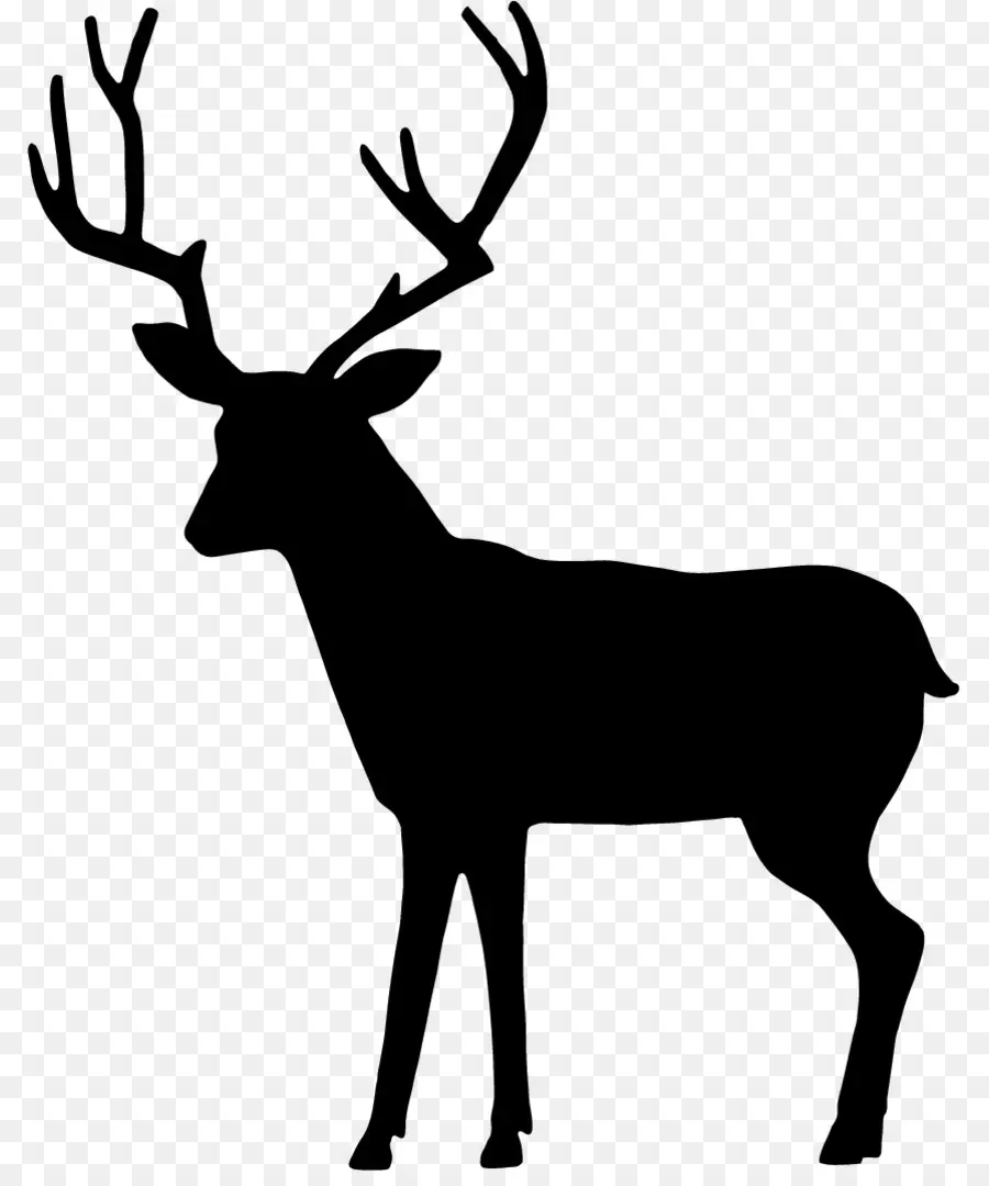 Silhouette De Cerf，Noir PNG