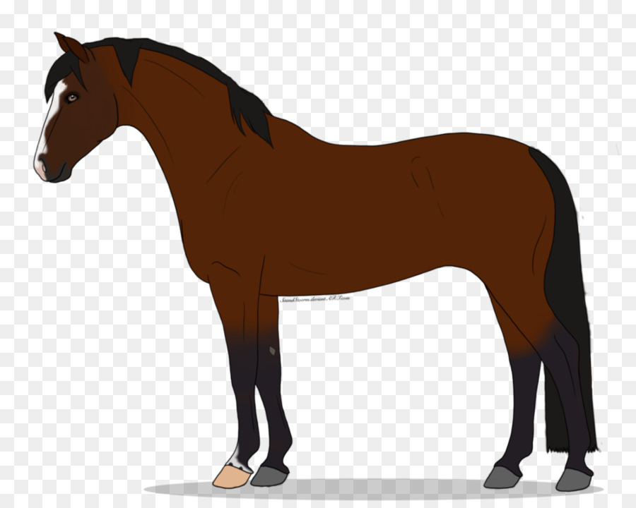 Cheval，équidé PNG