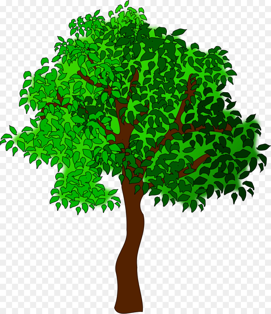 Arbre，Feuilles PNG