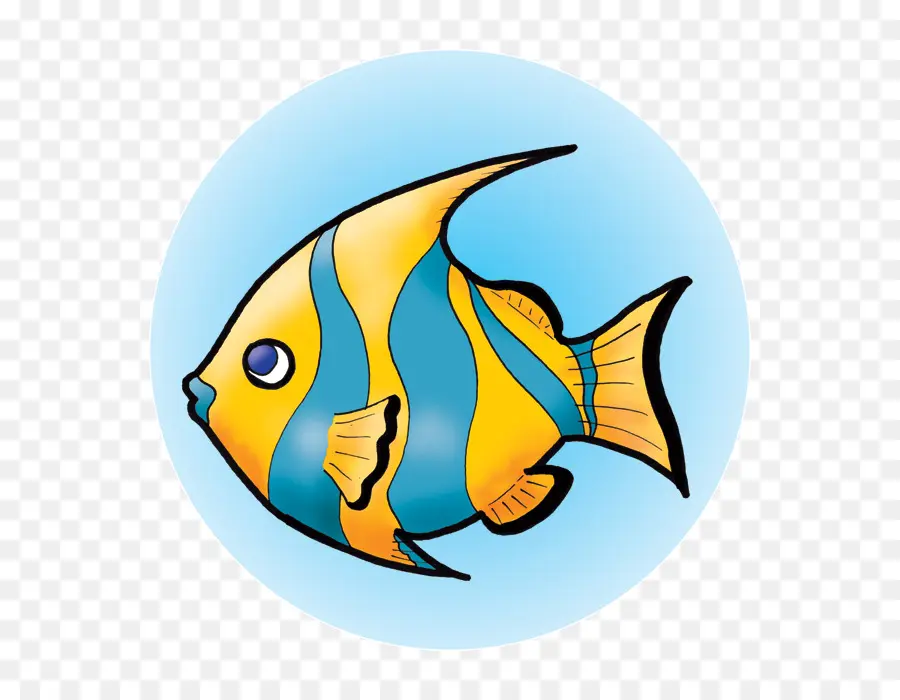 Poisson，Coloré PNG