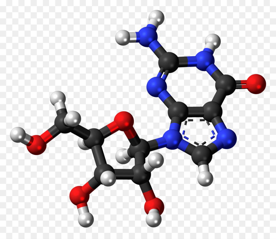 L Adénosine Triphosphate，L Adénosine Diphosphate PNG