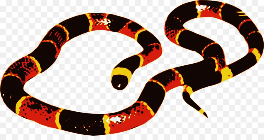 Serpent Rouge Et Blanc，Reptile PNG