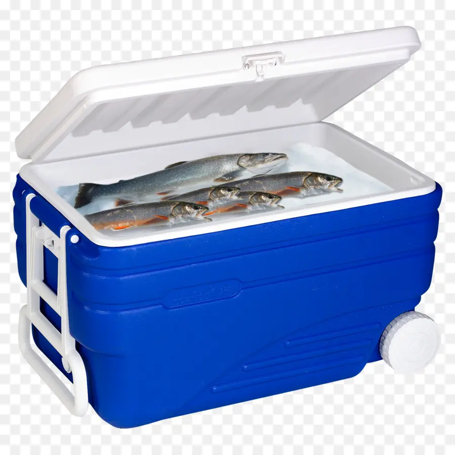 Glacière Avec Du Poisson，Bleu PNG