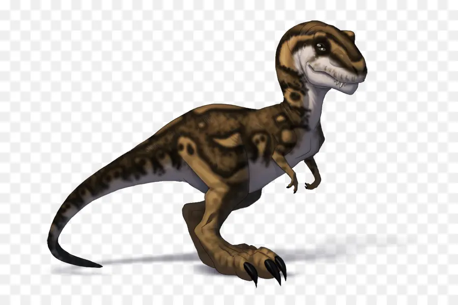 Tyrannosaurus，Vélociraptor PNG