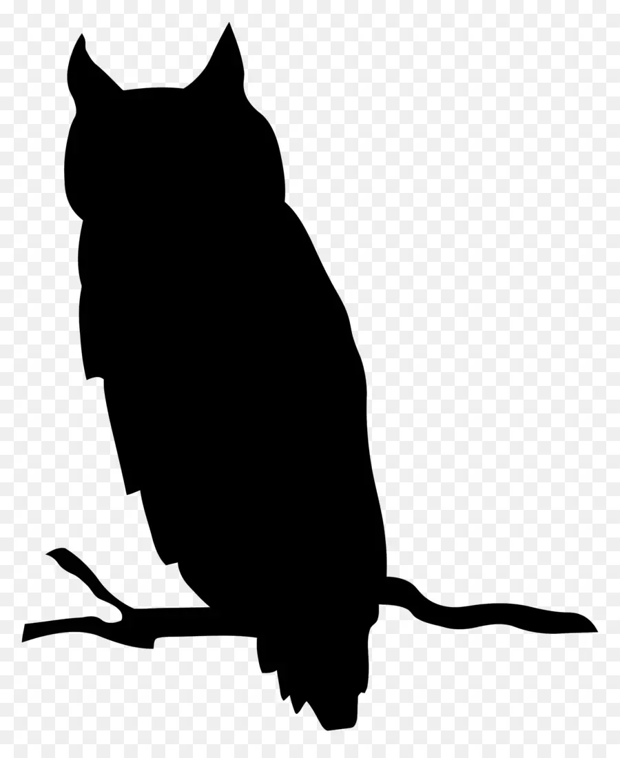 Silhouette De Hibou，Branche D'arbre PNG