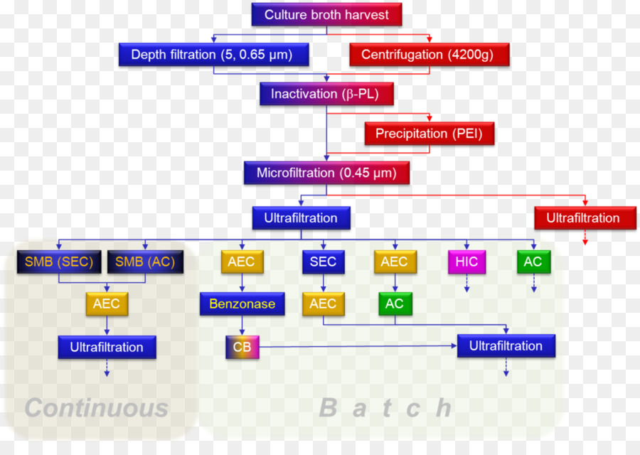 Grippe，Execution En Aval PNG